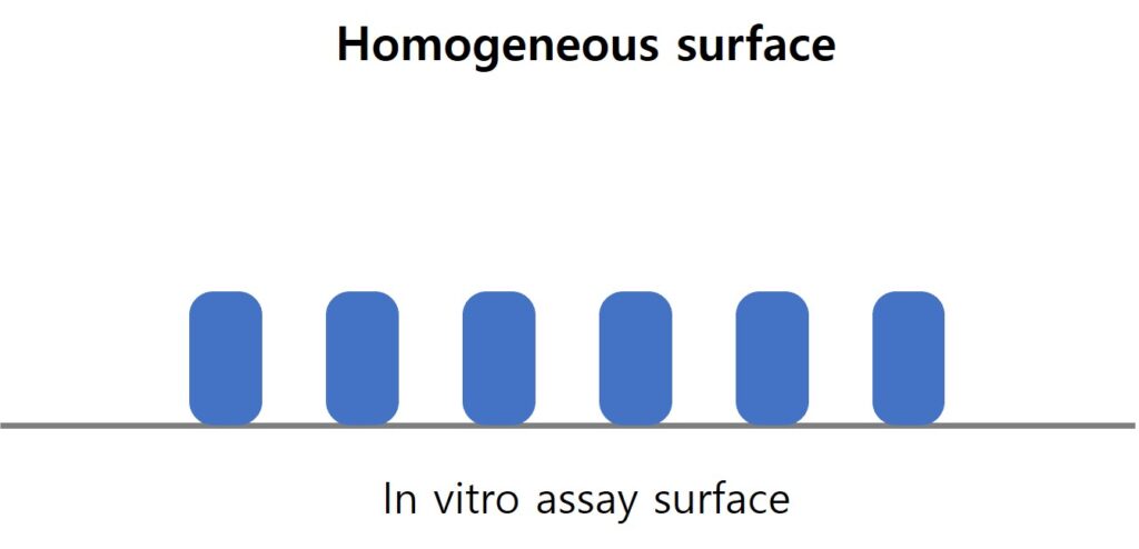 리셉터-리간드 binding kinetics-homogeneous