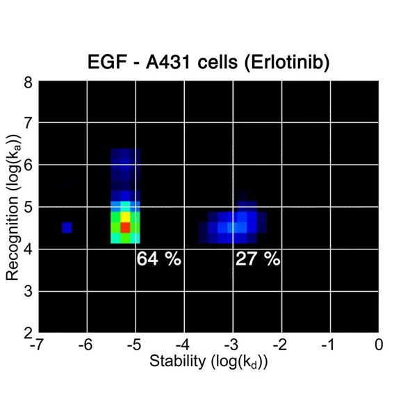 약물과 수용체 - EGF-A431-Erlotinib