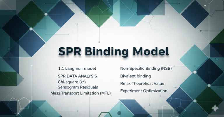 SPR binding model